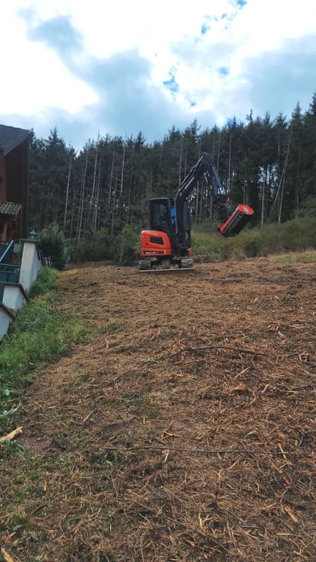 Minibagger mit Mulchkopf am Hang