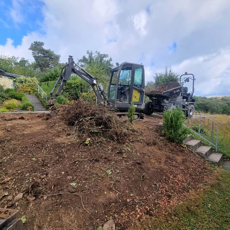 Minibagger rodet Sträucher und Wurzeln an einem Gartenhang, Dumper mit Grünschnitt dahinter