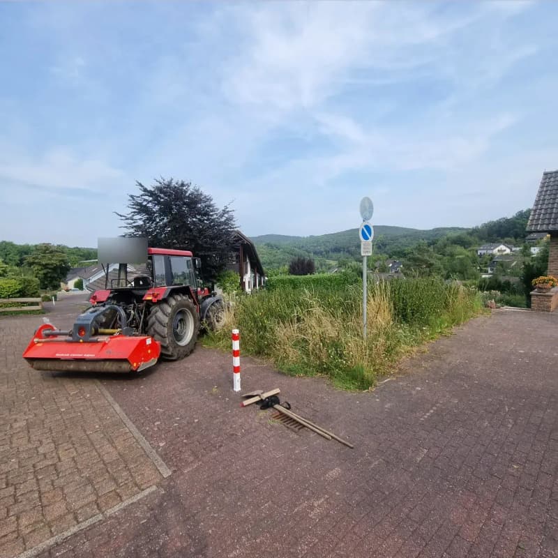 Zugewachsenes Baugrundstück vor dem Mulchen, Traktor mit Mulcher am Rand