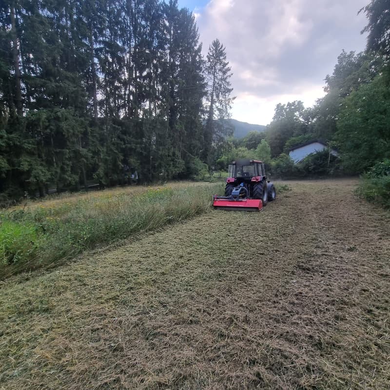 Traktor mit rotem Mulcher mäht eine Wiese am Waldrand, gemulchter Streifen daneben